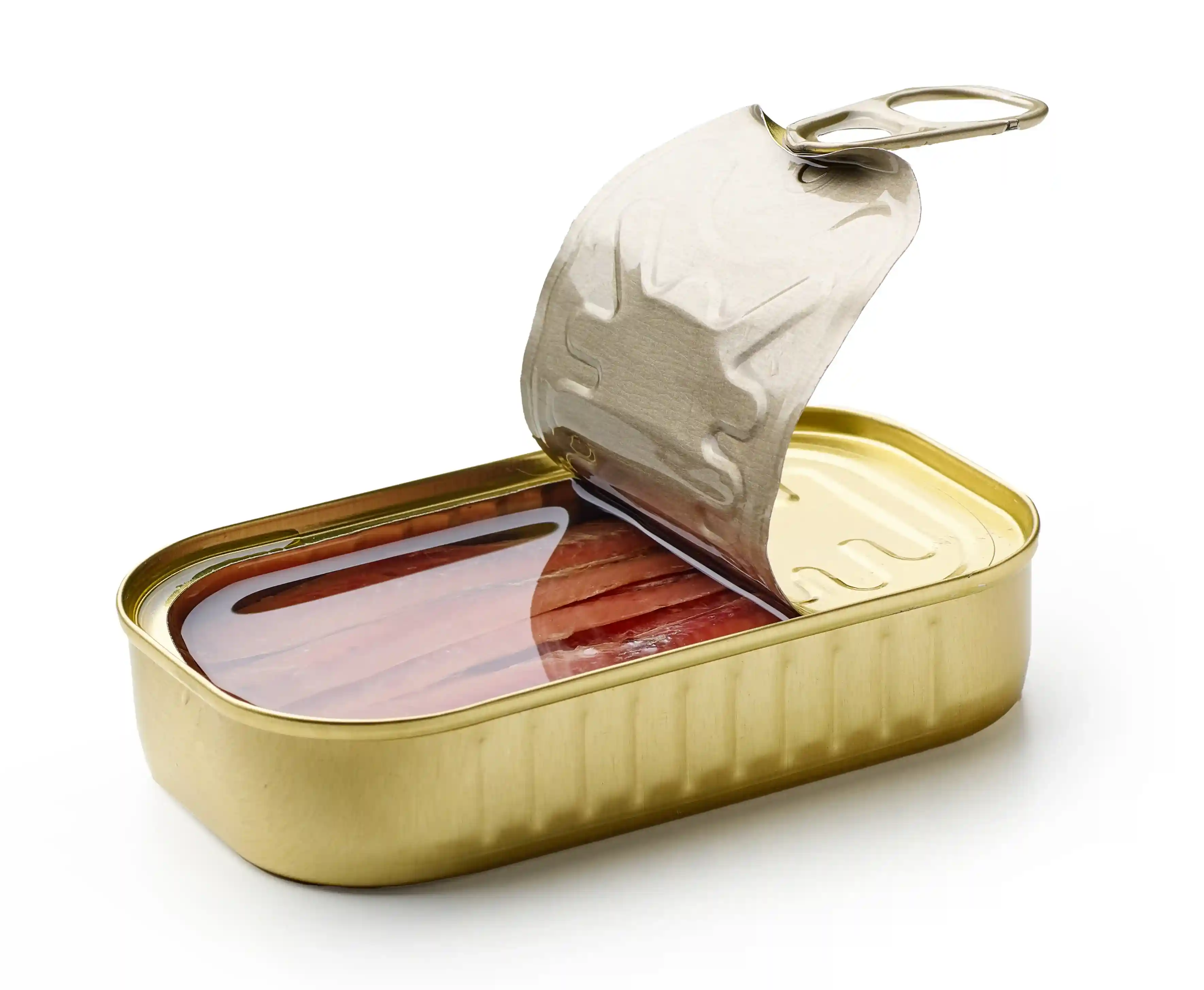 1 tin sardine