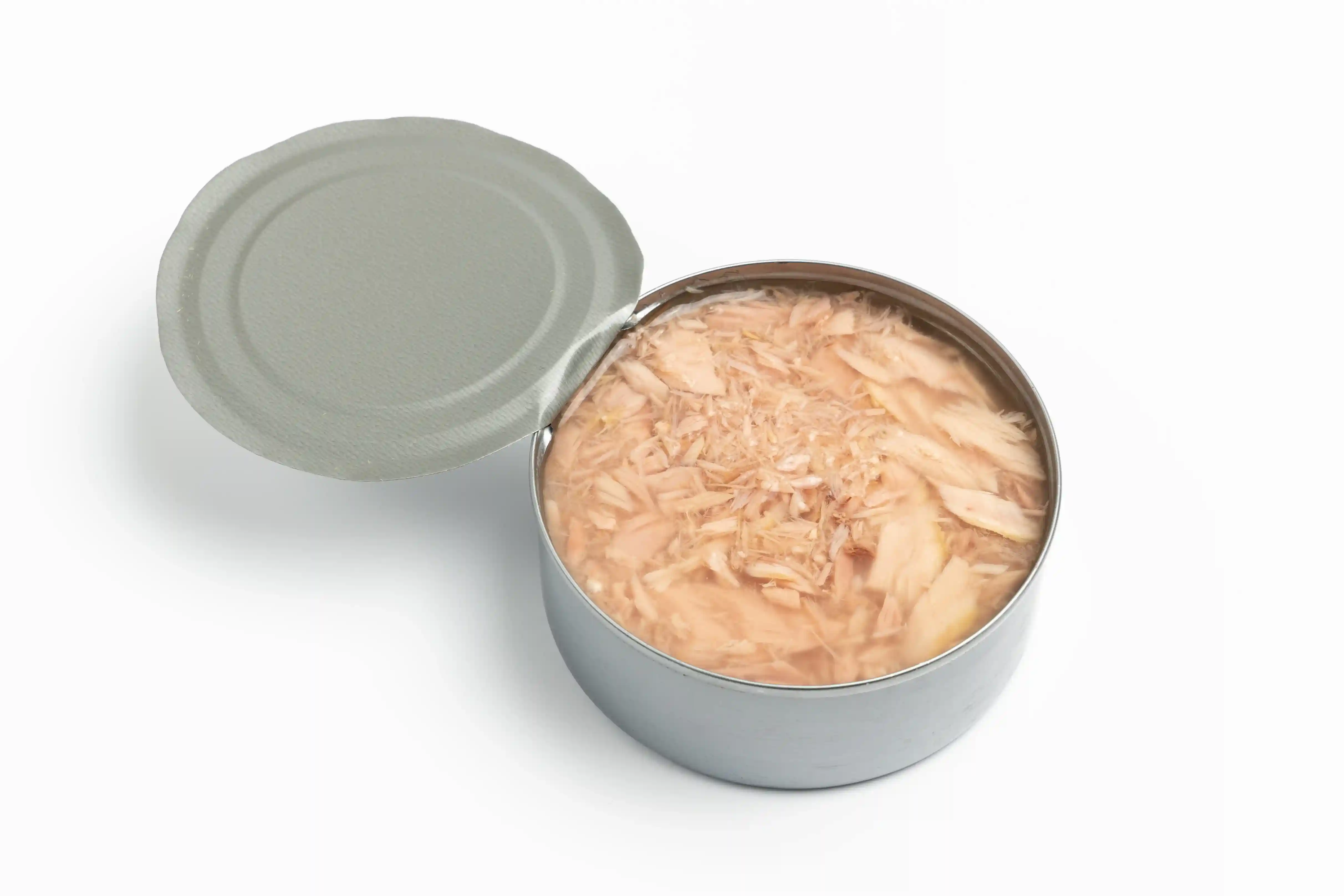 1 tin tuna